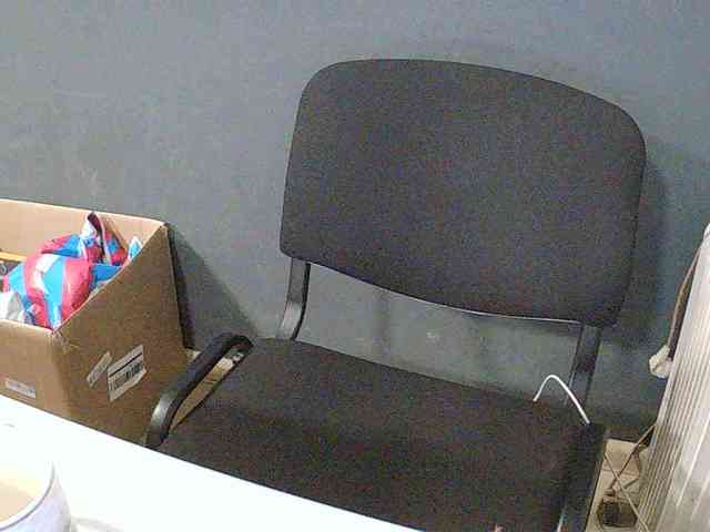 DarinaX webcam
