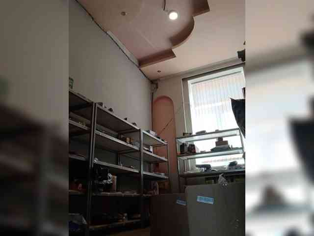 DarinaX webcam