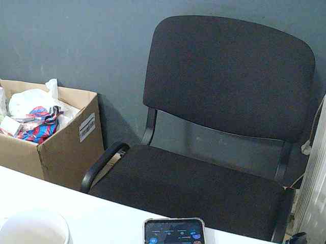 DarinaX webcam