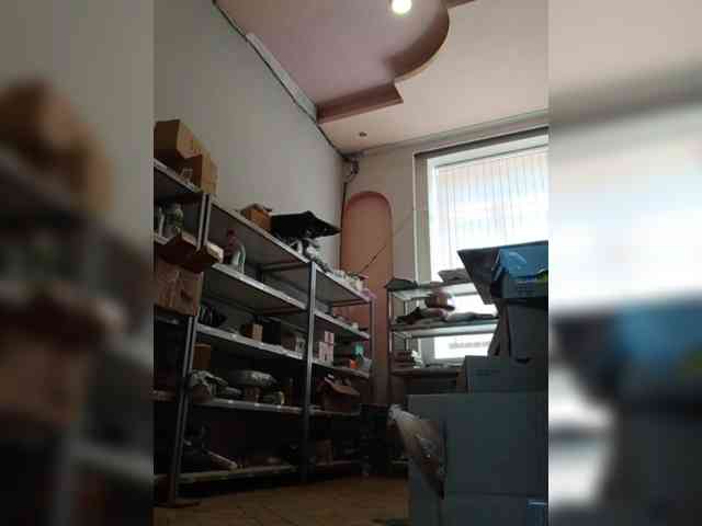 DarinaX webcam
