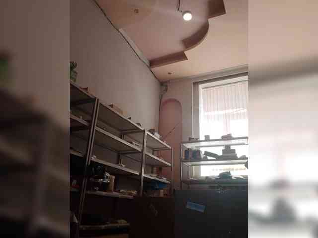 DarinaX webcam
