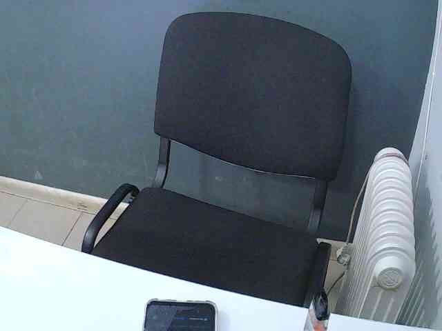 DarinaX webcam