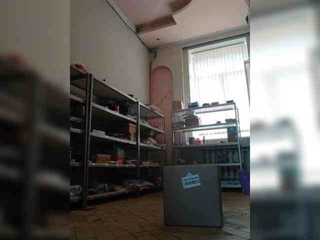 DarinaX webcam