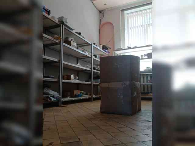 DarinaX webcam