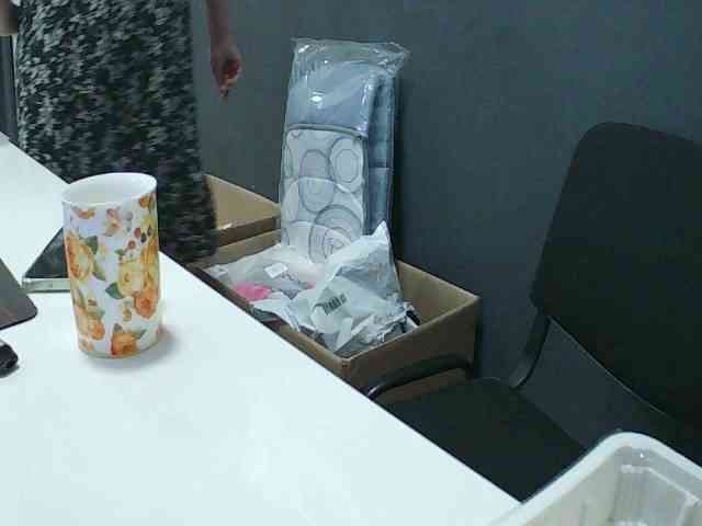 DarinaX webcam