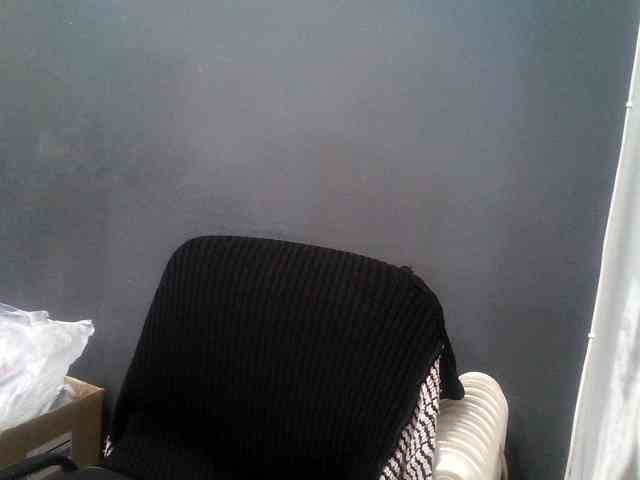 DarinaX webcam