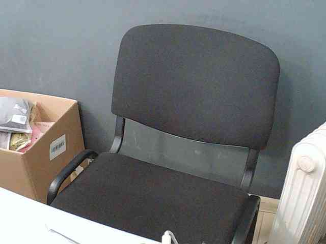DarinaX webcam