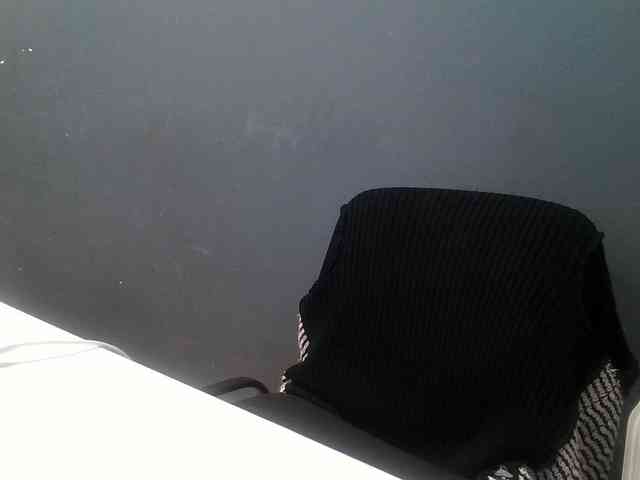 DarinaX webcam