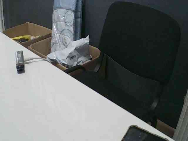 DarinaX webcam