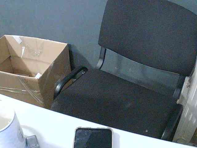 DarinaX webcam