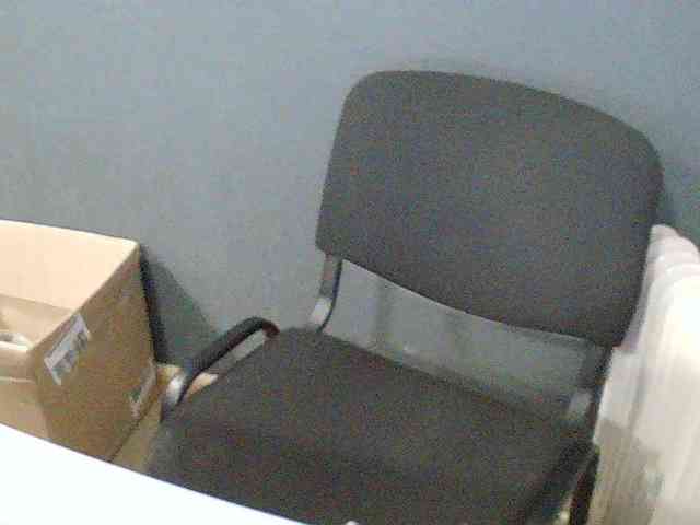 DarinaX webcam