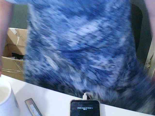 DarinaX webcam