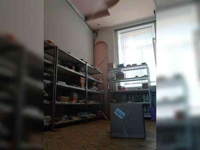 DarinaX webcam