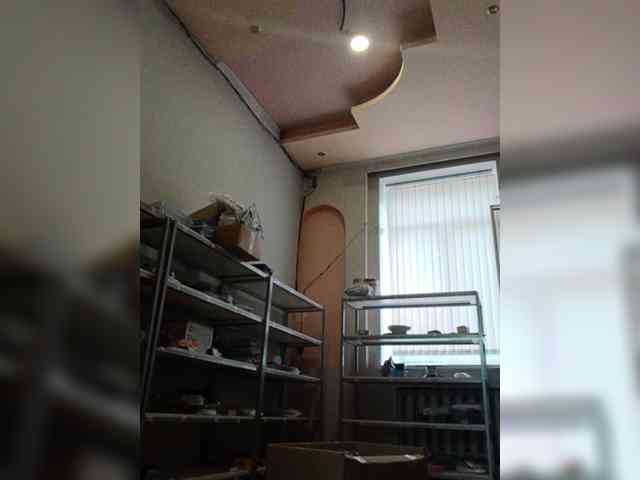 DarinaX webcam