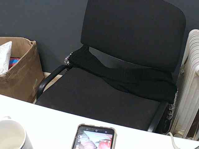 DarinaX webcam
