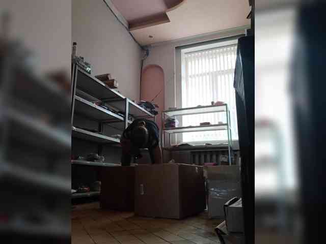 DarinaX webcam