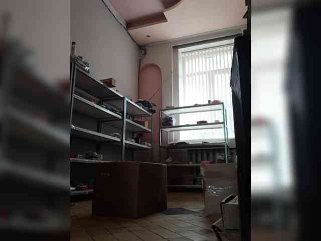 DarinaX webcam