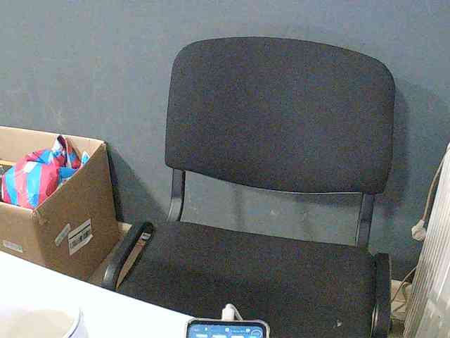DarinaX webcam