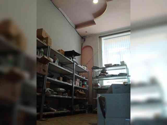 DarinaX webcam