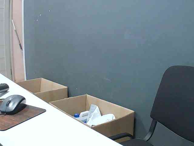 DarinaX webcam