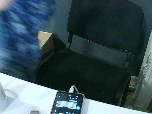 DarinaX webcam