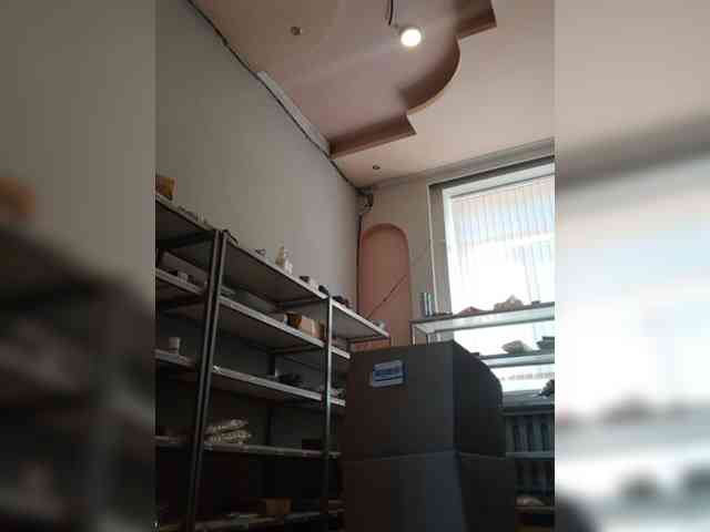 DarinaX webcam