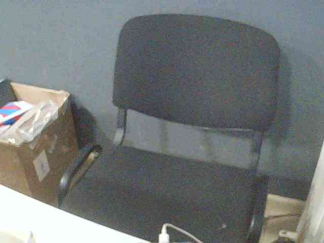 DarinaX webcam