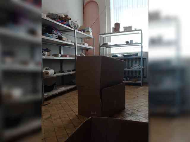 DarinaX webcam