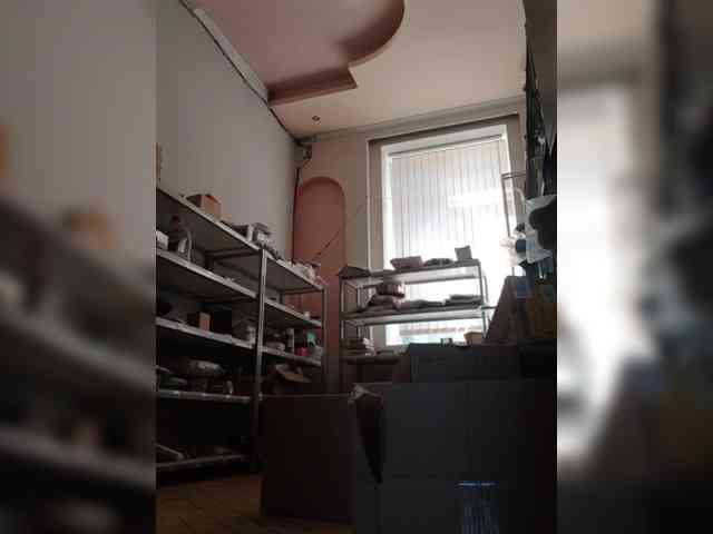 DarinaX webcam