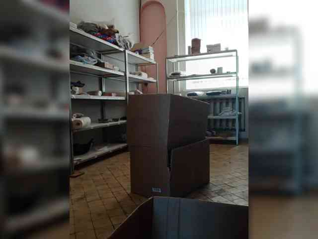 DarinaX webcam