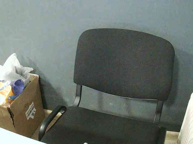 DarinaX webcam