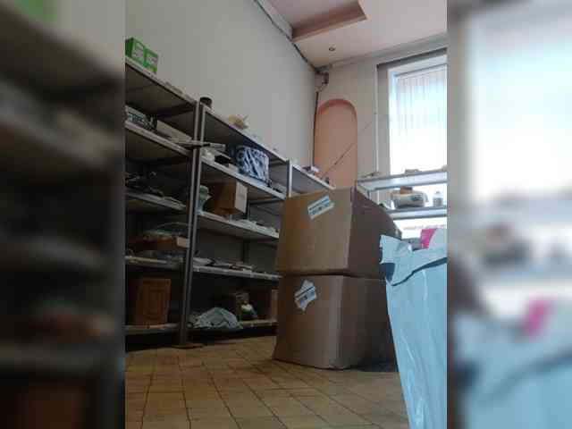 DarinaX webcam