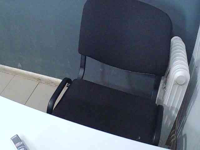 DarinaX webcam