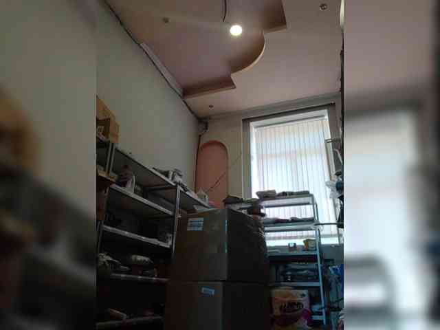 DarinaX webcam
