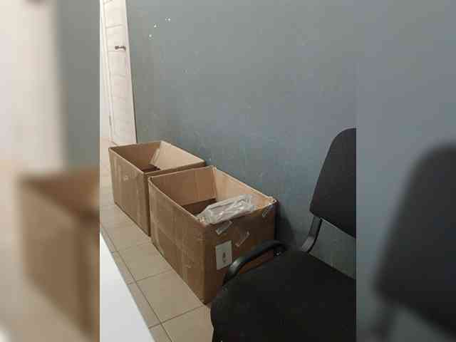 DarinaX webcam