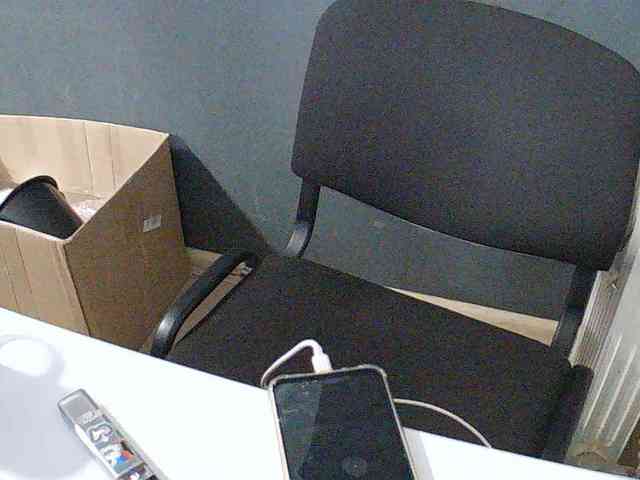 DarinaX webcam