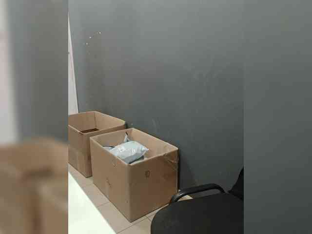 DarinaX webcam