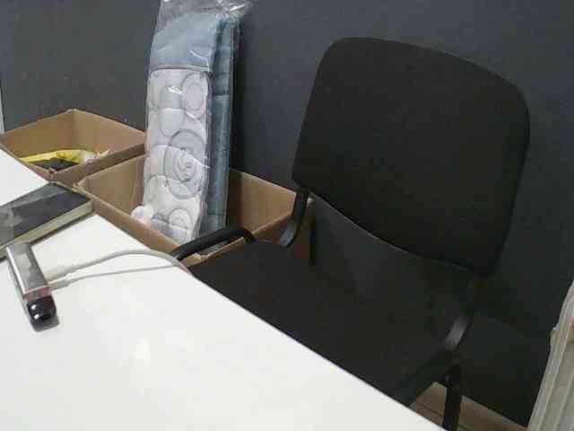 DarinaX webcam