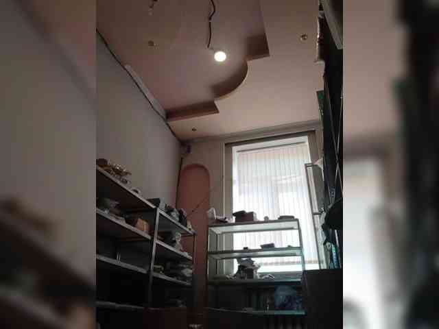 DarinaX webcam