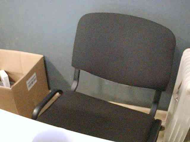 DarinaX webcam