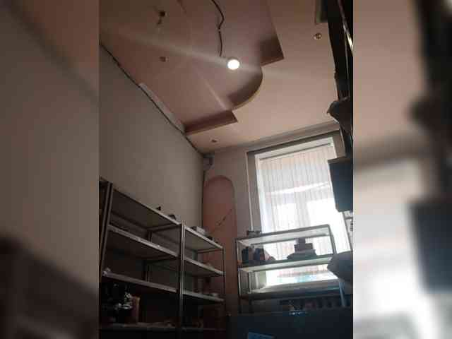 DarinaX webcam