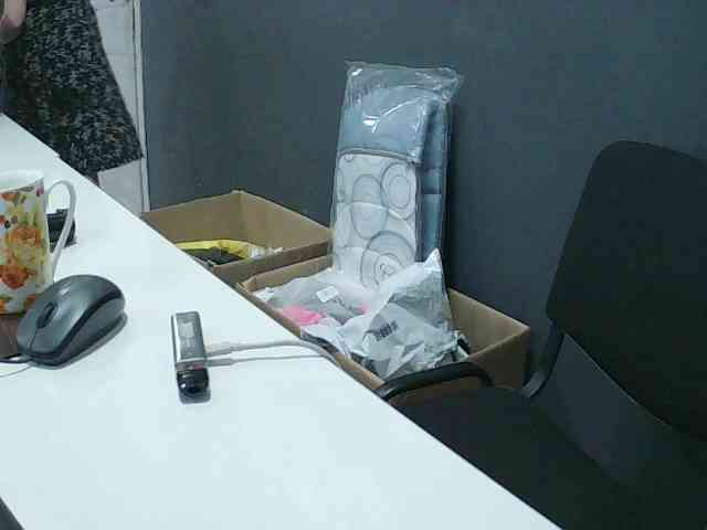 DarinaX webcam
