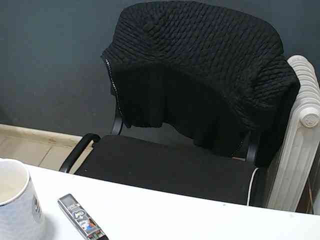 DarinaX webcam