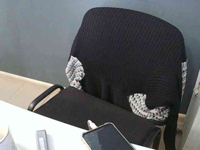 DarinaX webcam