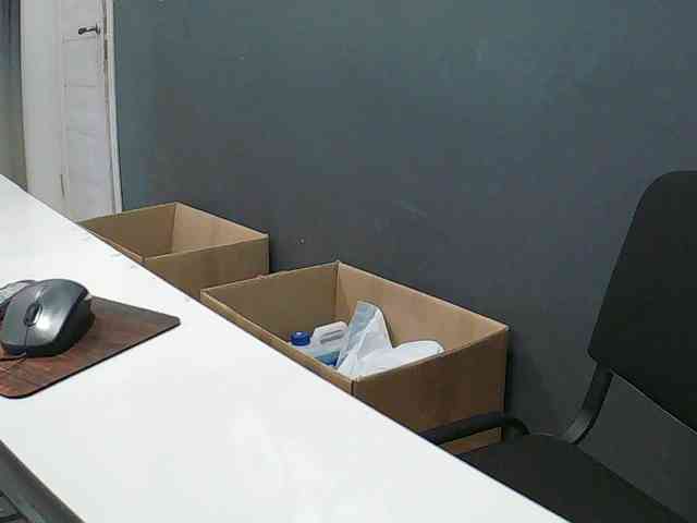 DarinaX webcam