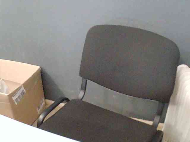 DarinaX webcam