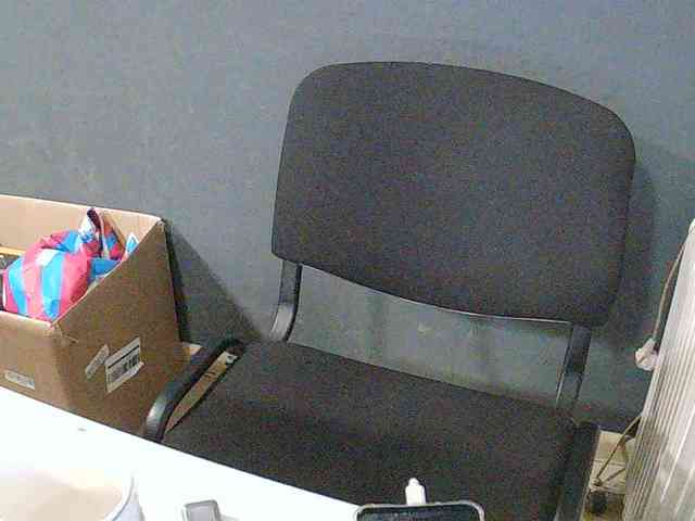 DarinaX webcam