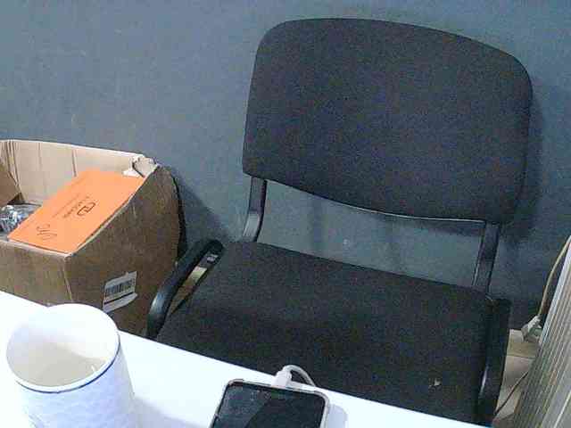 DarinaX webcam