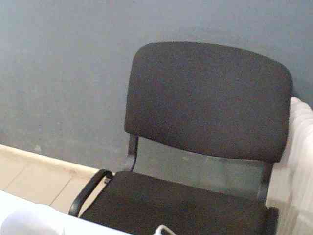 DarinaX webcam