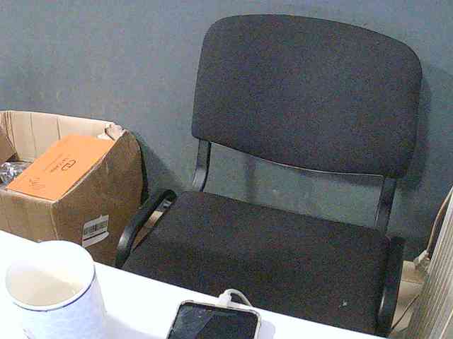 DarinaX webcam
